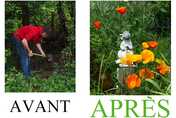 jardin avant après